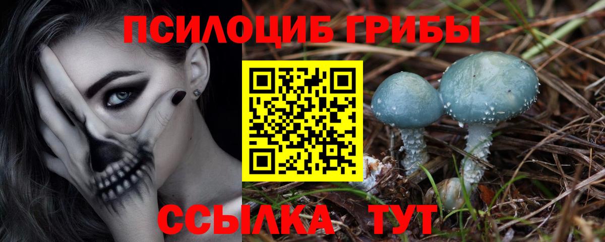 Тайшет  Галлюциногенные грибы прущие грибы  Вход с VPN 
