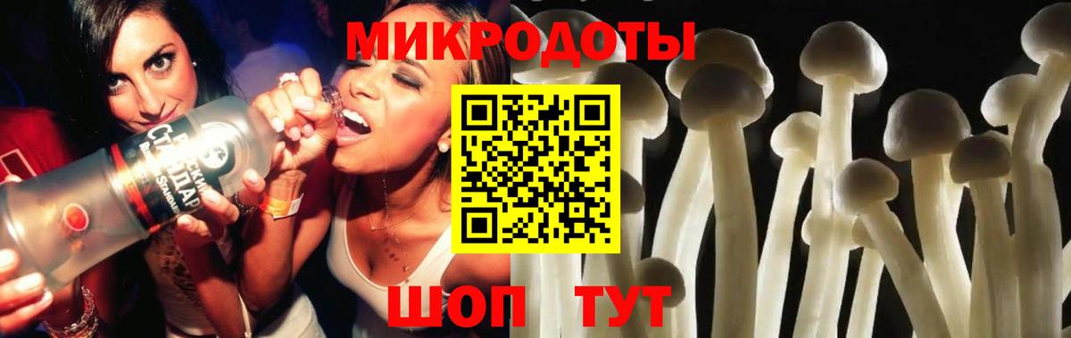 Псилоцибиновые грибы GOLDEN TEACHER Тайшет